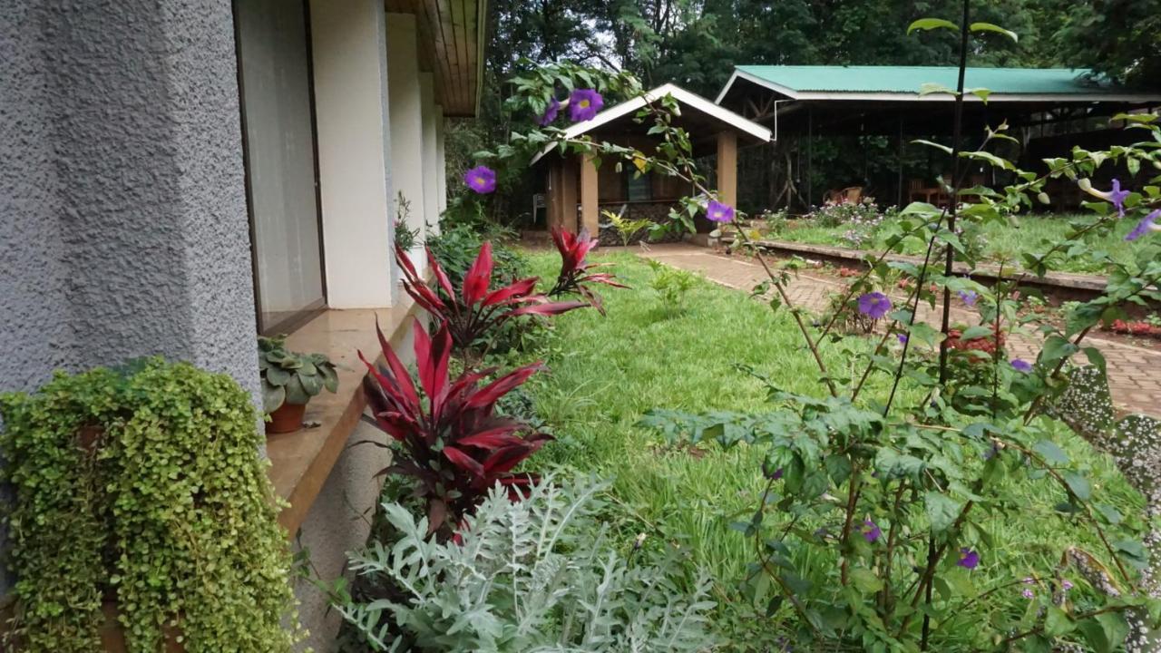 Bed and Breakfast Walk With Us Africa à Moshi Extérieur photo