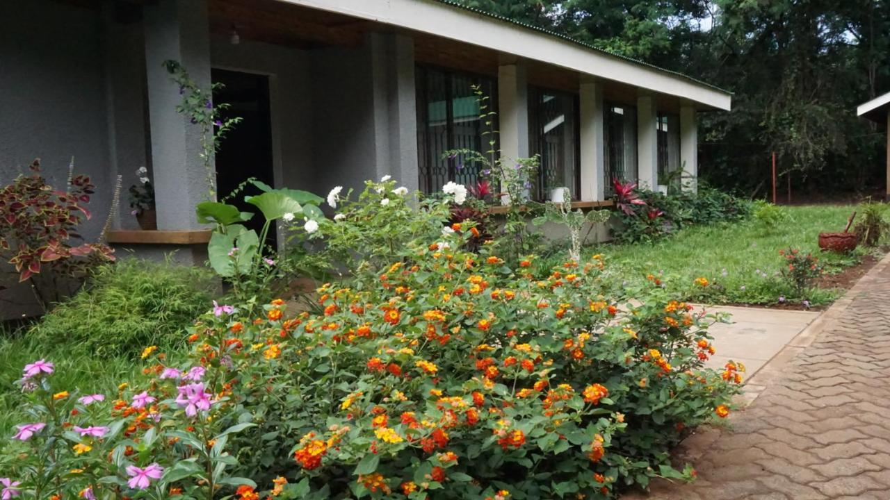 Bed and Breakfast Walk With Us Africa à Moshi Extérieur photo